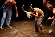 Bull dancing / Foto divulgação